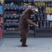 dancing sloth gif|funny baby dancing gif.